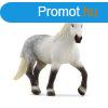 Schleich Percheroni kanca