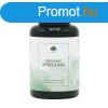 Spirulina alga 500mg 120 kapszula ? G&G