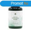 Psyllium Husk (tif maghj - organikus) por 100g - G&G