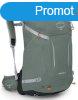 OSPREY tra htizsk HIKELITE 32 II,  pine leaf green