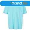Build Your Brand Frfi pl Heavy Oversize Tee - Beryl blue 