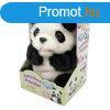 Hangutnz panda