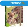 Fzetbox ARS UNA A/4 Icons of the Wild-Lions
