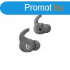 Apple Beats Fit Pro True Wireless Earbuds - Sage Grey fejhal