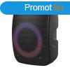 Platinet PMG255 Wireless Karaoke Speaker Black