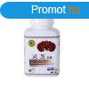 Big Star ganoderma kapszula 60 db