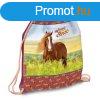 Tornazsk ARS UNA My Sweet Horse