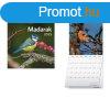 Naptr, fali, TOPTIMER "Madarak"