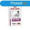 Royal Canin Early Renal 100 g