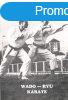 Wado-ryu karate (A test s a llek harmnijhoz vezet t) 