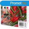 Epson T09Q6 (503) Multipack tintapatron