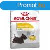 Royal Canin Mini Dermacomfort 3 kg