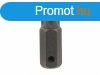 Genius torx (kls) bit, T-100, 60mm