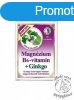 Dr. Chen Magnzium B6-vitamin + Ginkgo Forte tabletta - 30db