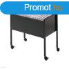Fggmappatart, Durable Economy 80, grgs, 309501