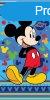 Disney Mickey frdleped -strand trlkz