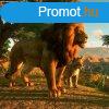 Planet Zoo: Ultimate Edition 2022 (EU) (Digitlis kulcs - PC