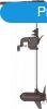Haswing Protruar 3.0 110 LBS 12V