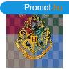 Harry Potter Hogwarts coral fleece polr takar 120x150cm