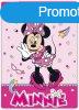 Minnie egr Funny polr takar 100x140cm
