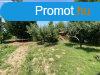 Elad 310m2-es Csaldi hz, Balatonboglr