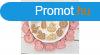 Babs Stemny Kiszr s Mintz Kszlet - 8 Forma, Torta D