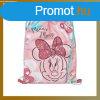 Minnie egr tornazsk MIUX7238