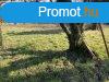 740m2 gymlcss a Bagolyvr kzelben elad