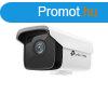 TP-Link IP cskamera - C300HP-4 (3MP, 4mm, kltri IP67, H26