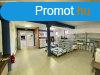 Elad 580m2-es Telephely, Hatvan