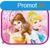 Disney Princess Napvd 36x44cm