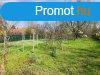 ELAD 800 m2 kert besorols ingatlan Szolnok, Labda utcban