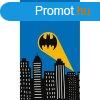 Batman Call Sign kztrl, arctrl, trlkz 30x50 cm