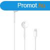 Apple EarPods with Lightning Connector