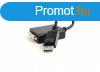 Gembird A-DPM-DVIF-03 DisplayPort to Dual-Link DVI-I (24+5) 