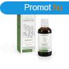 Gyrgytea Orbncf olajos kivonat 50 ml
