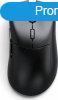 Glorious Model D 2 PRO Series Wireless Mouse 4K/8KHz Edition