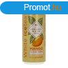 VIWA VITAMIN WATER ICETEA MAN. 330ML DRS